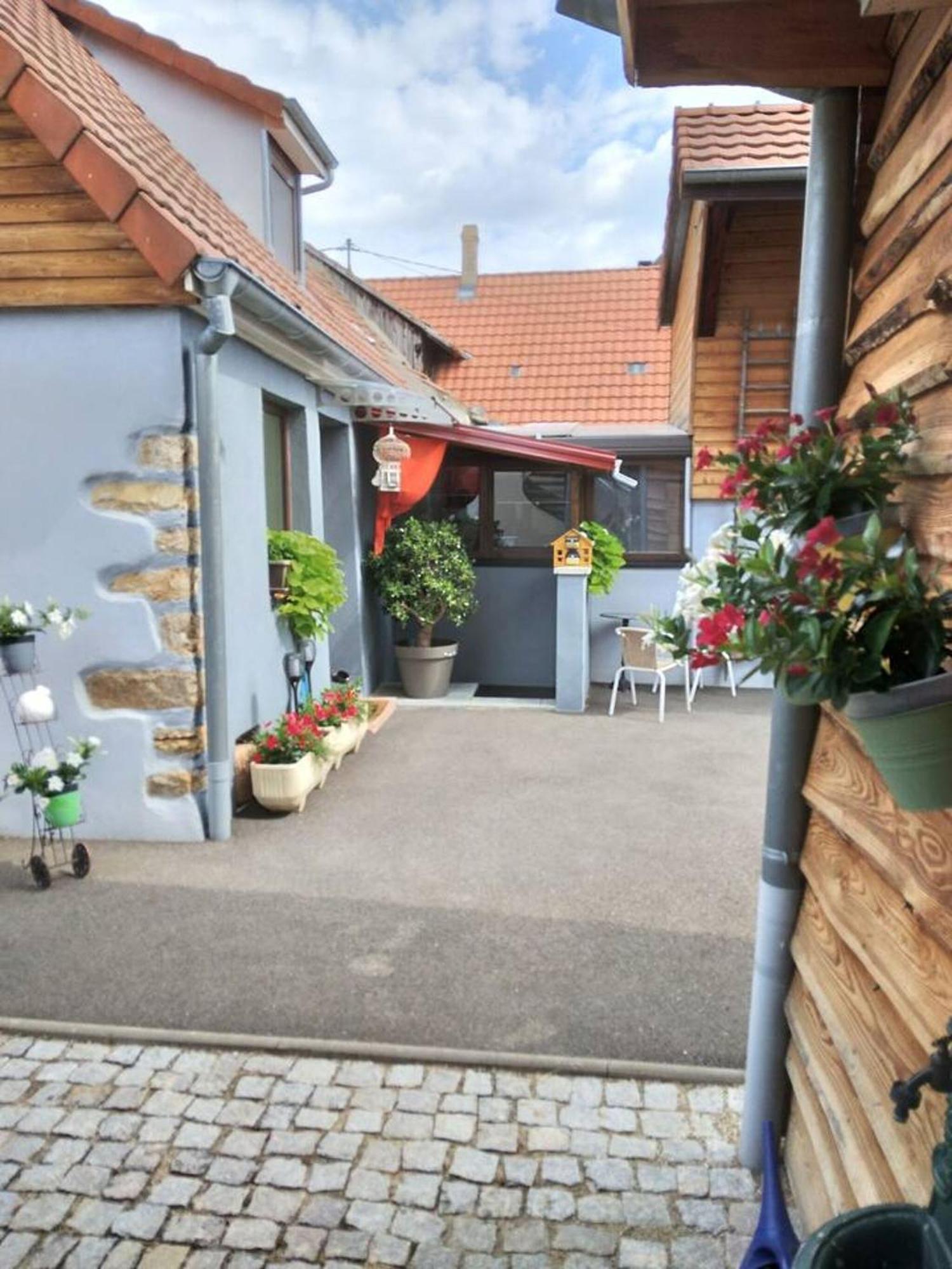 Appartement Cosy Wintzenheim + Terrasse Exterior photo
