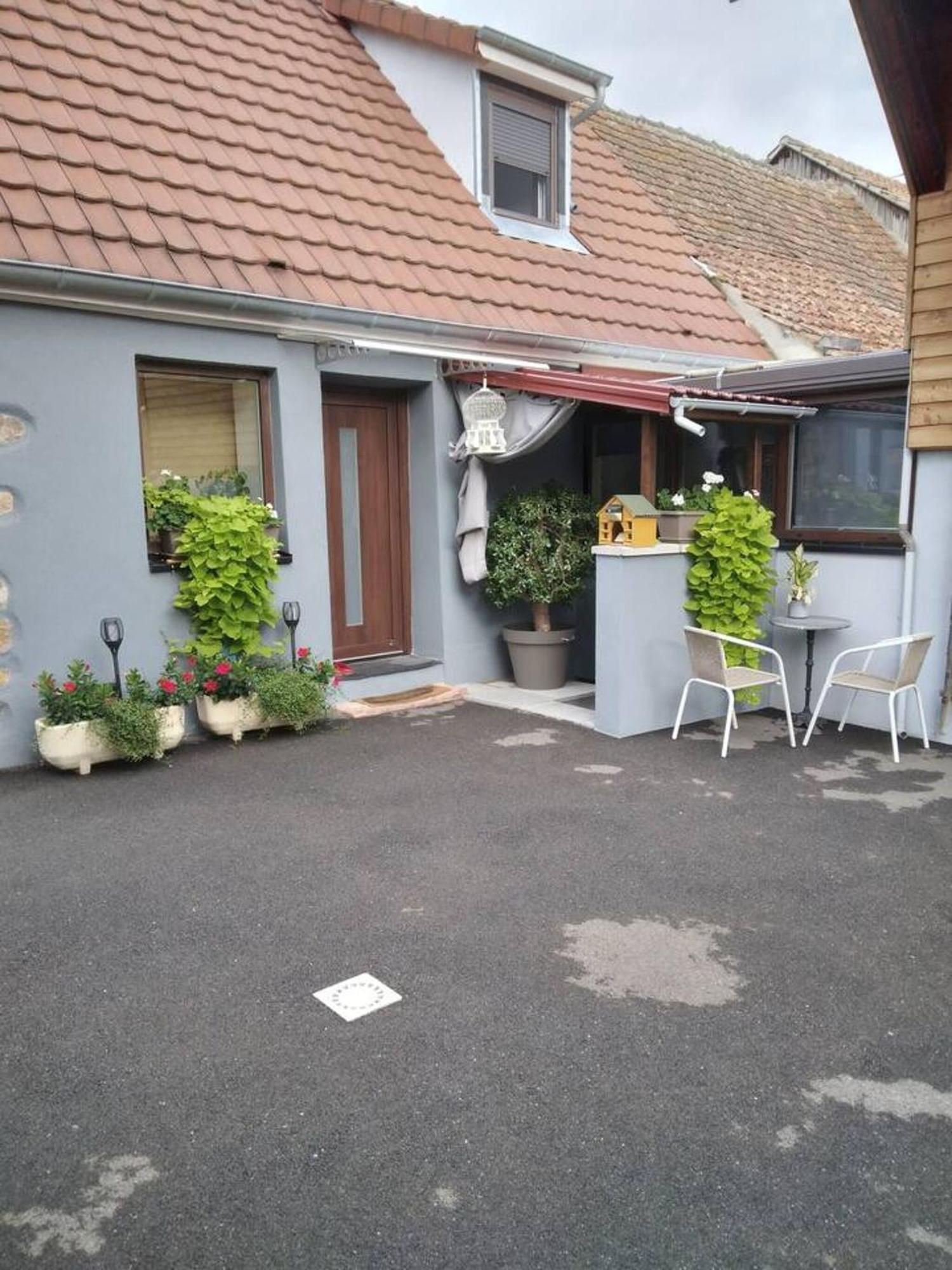 Appartement Cosy Wintzenheim + Terrasse Exterior photo
